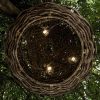 baobab ufo 1 Плетеный подвесной светильник-баобаб НЛО.