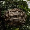 baobab ufo 2 Плетеный подвесной светильник-баобаб НЛО.