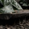 long coffee table out 4 Coffee Table - Teak
