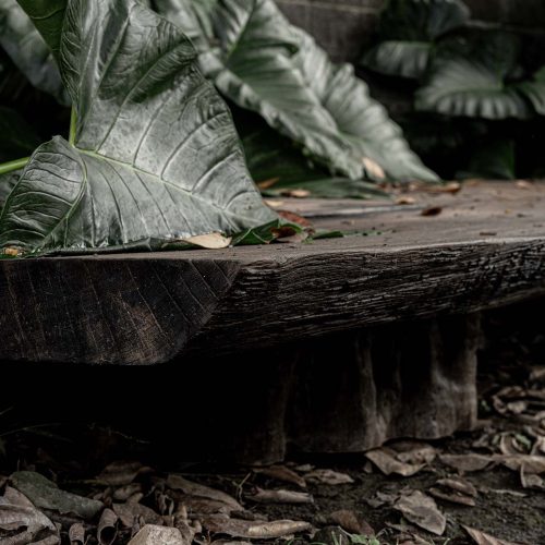 long coffee table out 4 Coffee Table - Teak