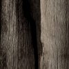 Coco Skin Divider 2 Складная переносная перегородка (напольная ширама)