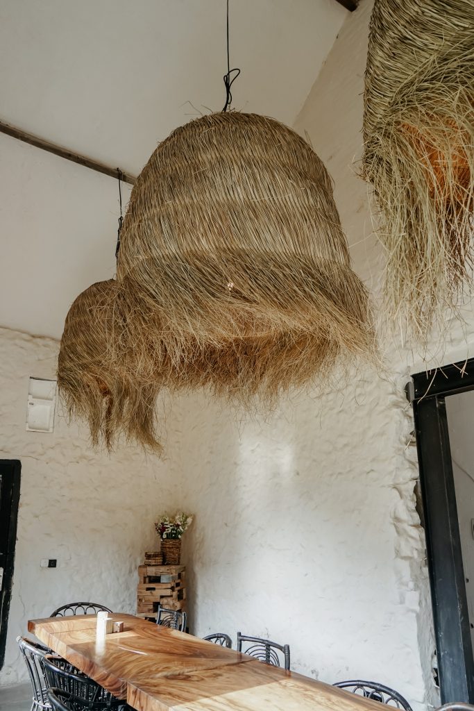 DSC01398 (1)